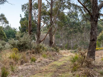 6 Brewis Place, Lake Leake