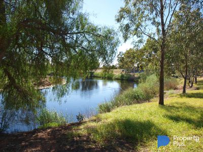 48 Aitken Avenue, Donald