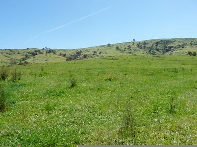 Egan Lane, Sandy Creek
