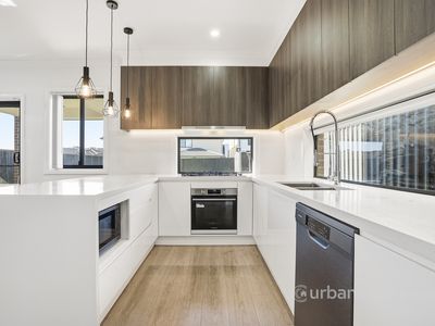20 Livestock Street, Austral