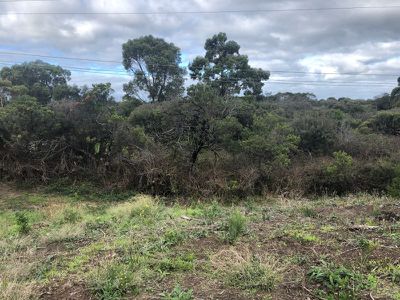64 Cape Schanck Road, Cape Schanck