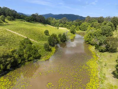 31 Blade Road, Nimbin
