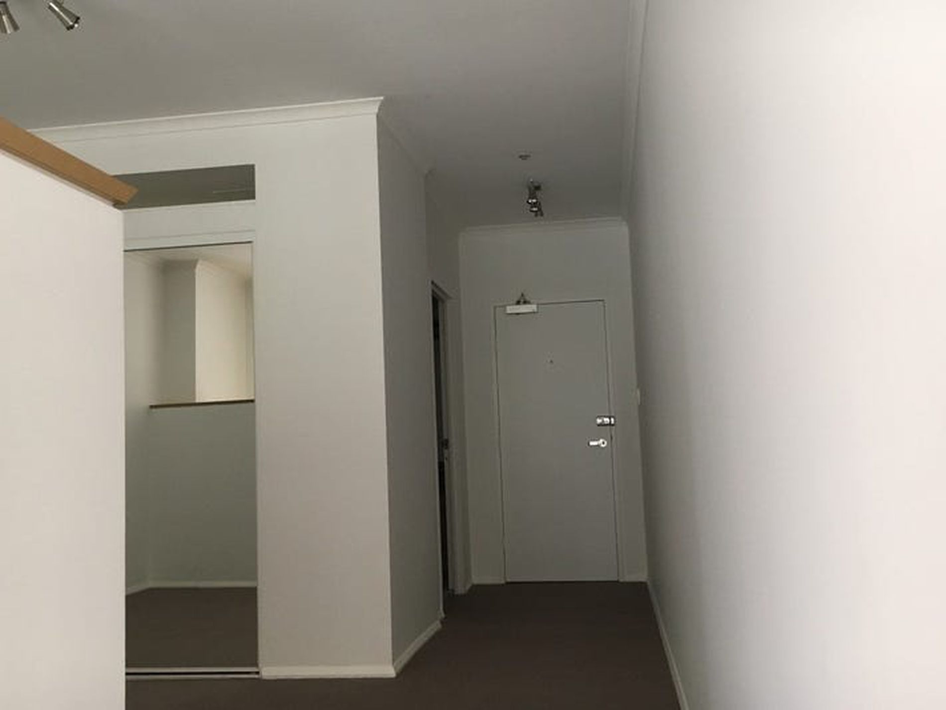 320 / 105 Campbell Street, Surry Hills