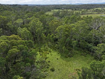 14 Ningee Nimbell Creek Road, Braidwood