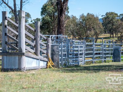 391 Carrot Farm Road, Deepwater