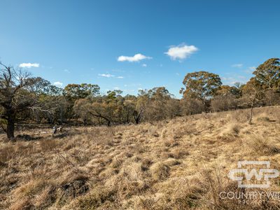 228 Ben Lomond Road, Guyra