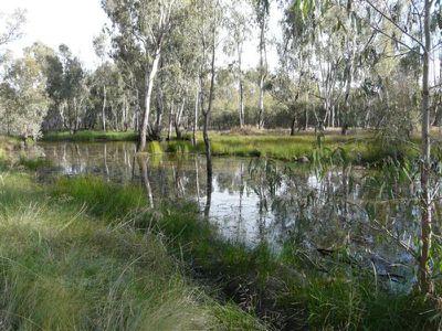 Tocumwal