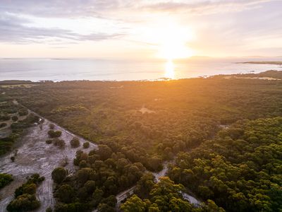 Lot 1 / 1290 Palana Road, Blue Rocks