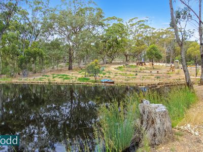 91 Tehan Court, Heathcote