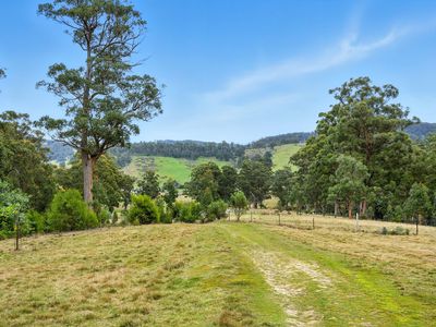 Lot 1, Rifle Range Road, Cygnet