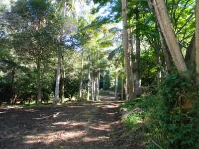 45 Mountain View Road, Maleny