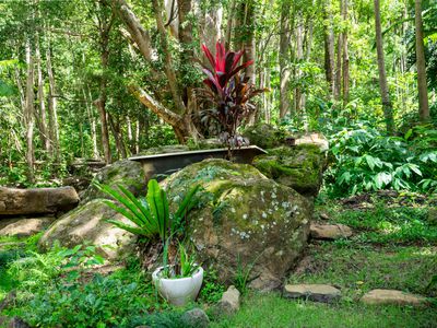 771 Left Bank Road, Mullumbimby Creek