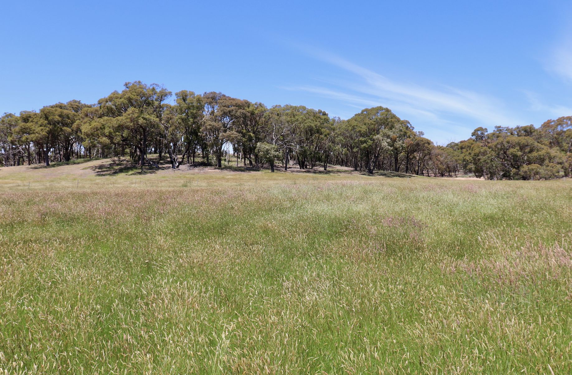 Lot 13, 13A, 13B, 31A &, 31C BRIDGE ROAD, Grenville