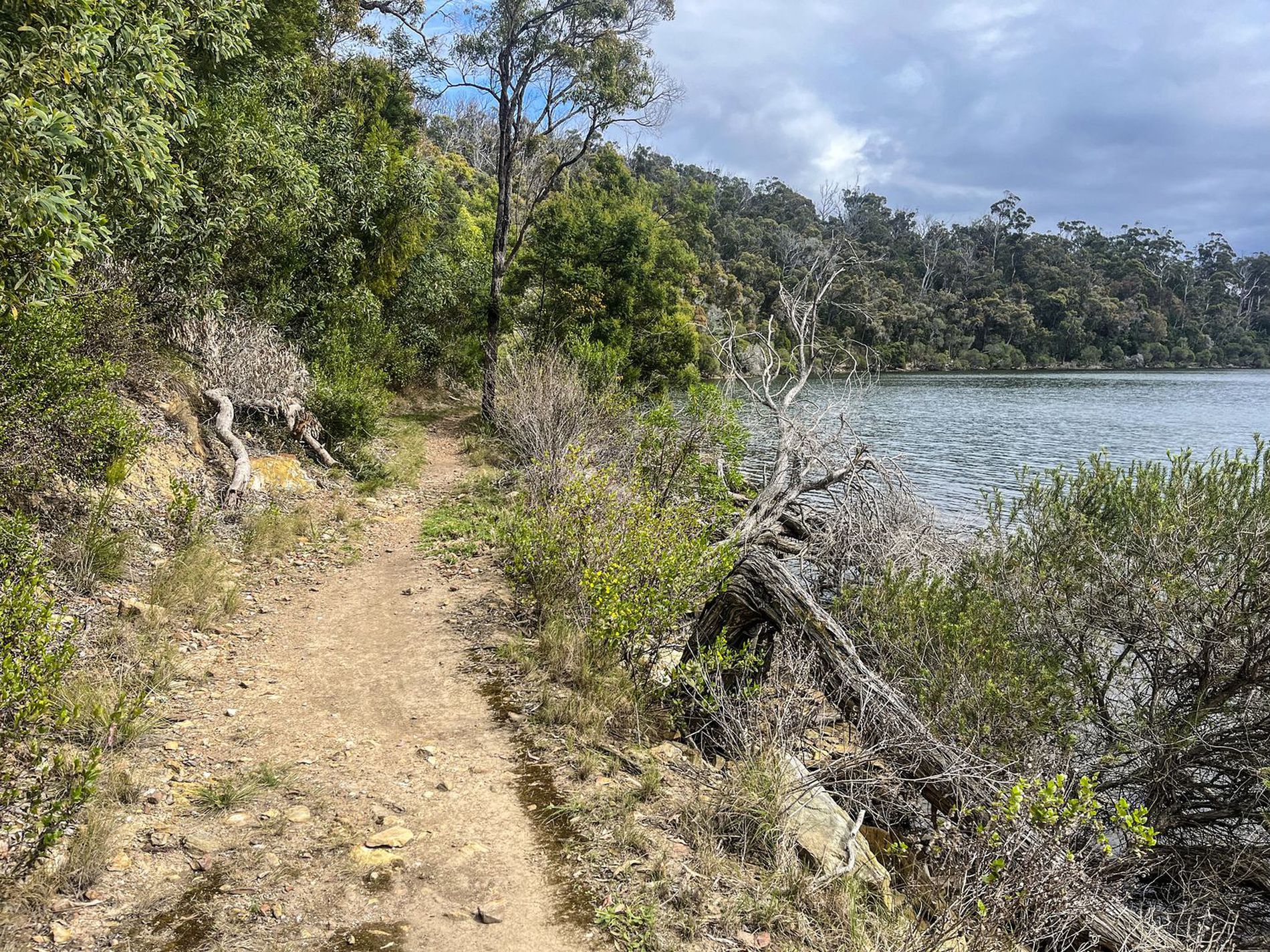 11 / 6-8 Buckland Drive, Mallacoota