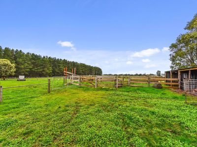 13 Vorwerk Road, Glenburnie