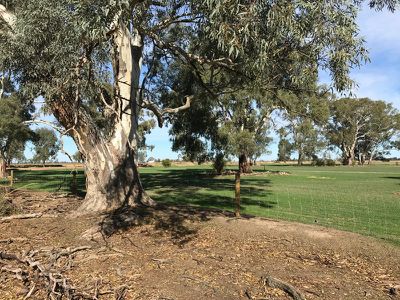 32 Aherns Road, Myall