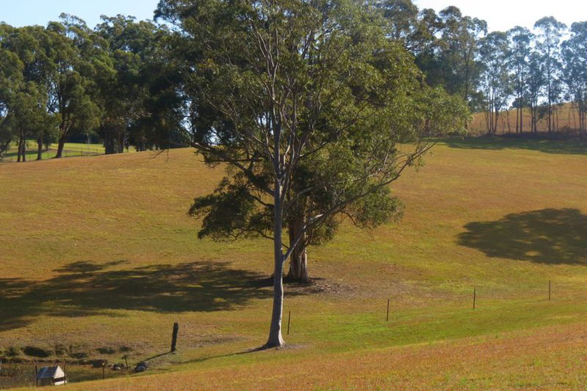 19 Jonela Road, Tinonee