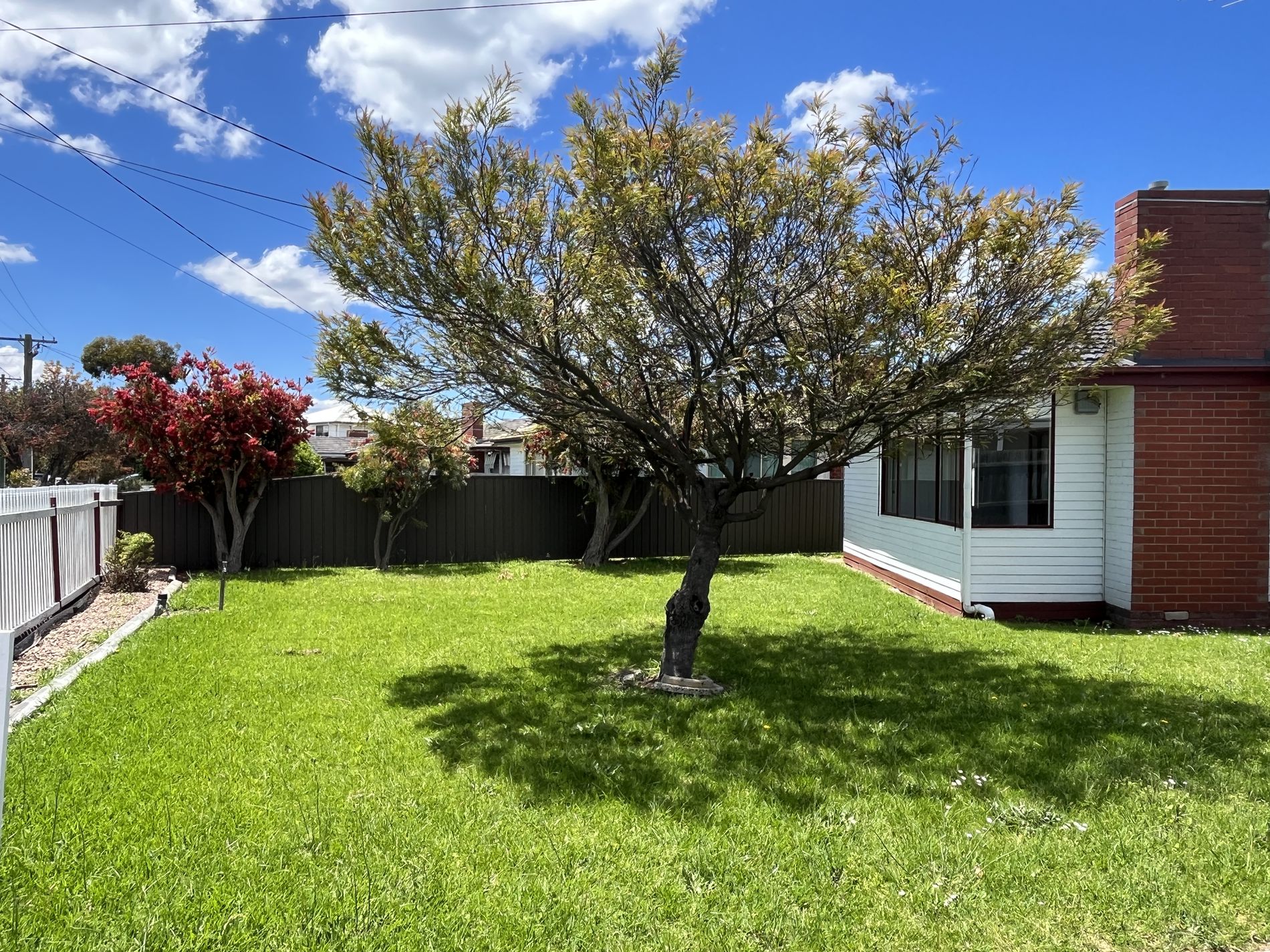 21 Carinya Avenue, Newcomb