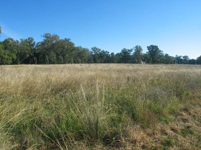 2234 Wandobah Road, Gunnedah