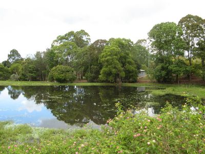 Flaxton