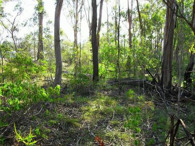Nanango