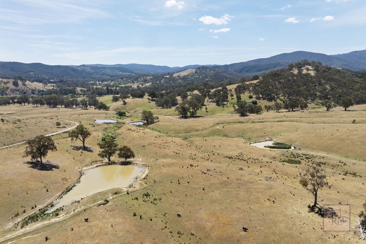 'Dalhaven' via Hells Hole Creek Road, Bonnie Doon