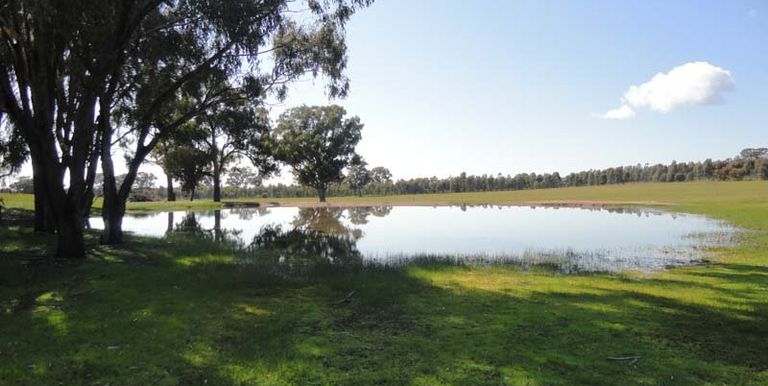 Walls Road, Euroa