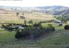 517 White Rocks Road, Orange