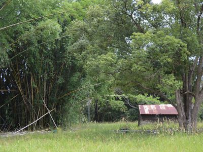 Lot 2 Maleny-Kenilworth Road, Maleny