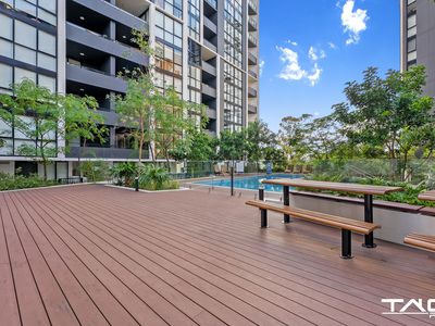 533 / 3 Maple Tree Road, Westmead