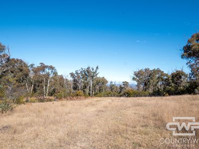 Lot 332, 41 Gilligans Lane, Torrington