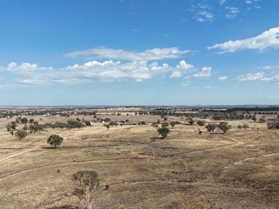 117 Hillside Lane, Parkes