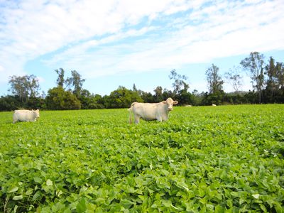 256 Hacks Ferry Road, Hacks Ferry