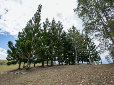 5401 Kyogle Road, Cawongla