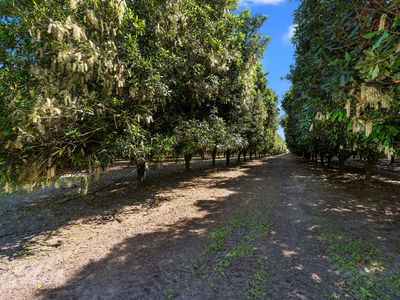 32 Beerburrum Donnybrook Road, Donnybrook