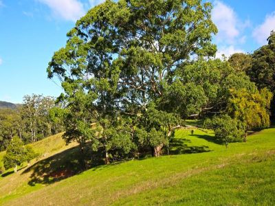 Lot 8600 Lot 8600 Bunkers Hill Road, Kangaroo Valley