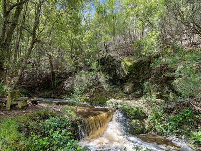 60 Clear Creek Road, Woodbridge