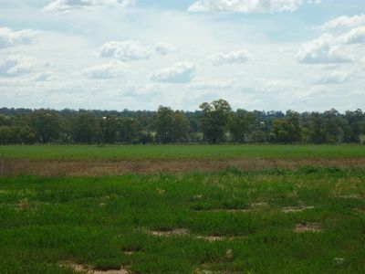 3 Narrabeen Place, Dubbo