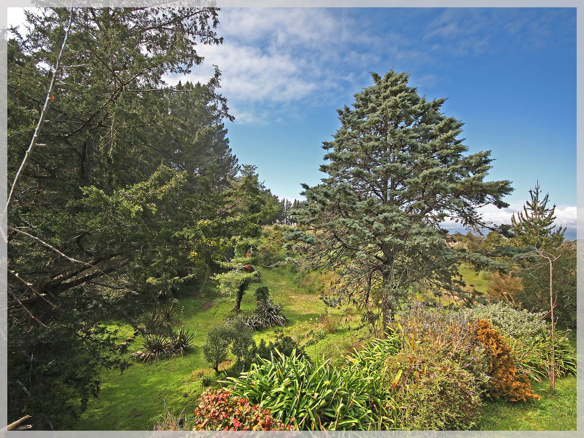 66 Palmer Road, Foxton Beach