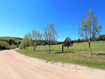 310 Curly Dick Road, Meadow Flat
