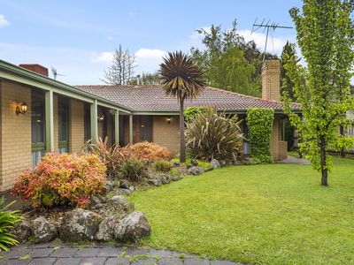 16 Gardiner Street, Gisborne