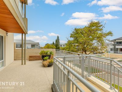 25 Pantheon Avenue, North Coogee