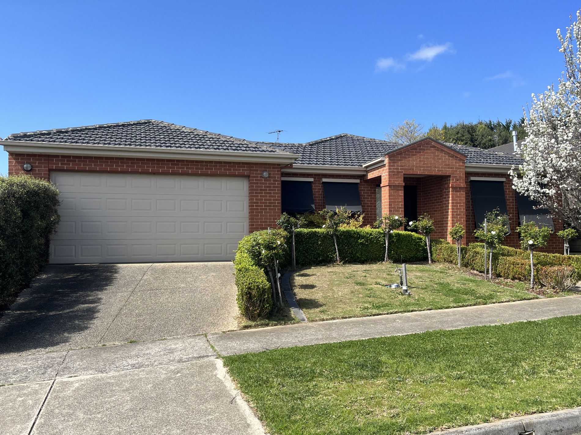 13 Pethajohn Parade, Grovedale