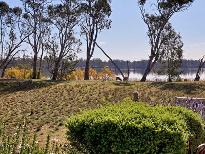 6 Eureka Dr, Nagambie