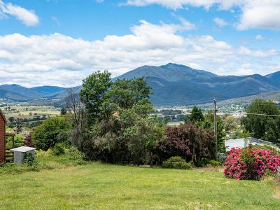 17 Buckland Street, Tawonga South