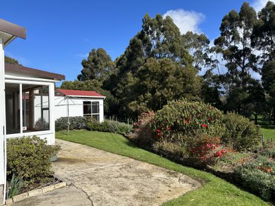 Wynyard