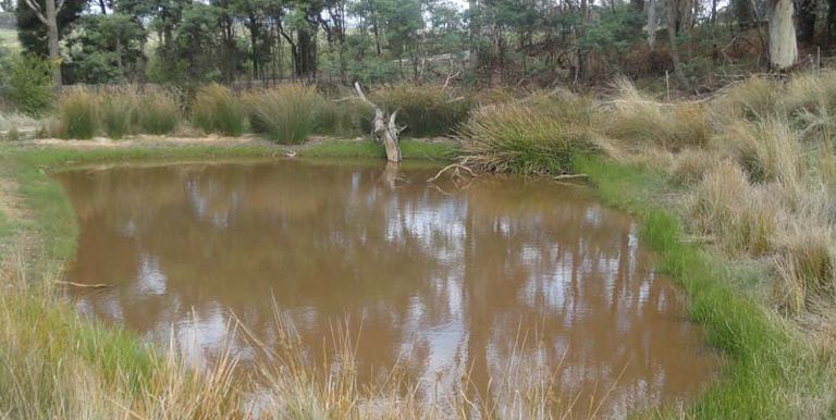 Bonnie Doon Road, Strathbogie