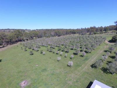 Address Upon Request, Nanango