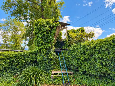 19 Bogong Avenue, Mount Beauty