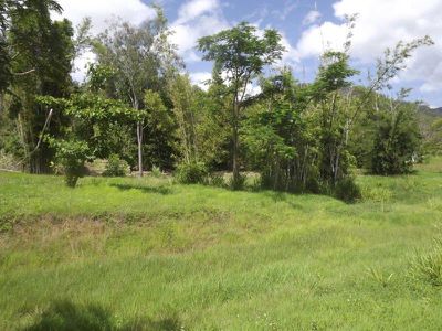 423 Paluma Road, Woodwark